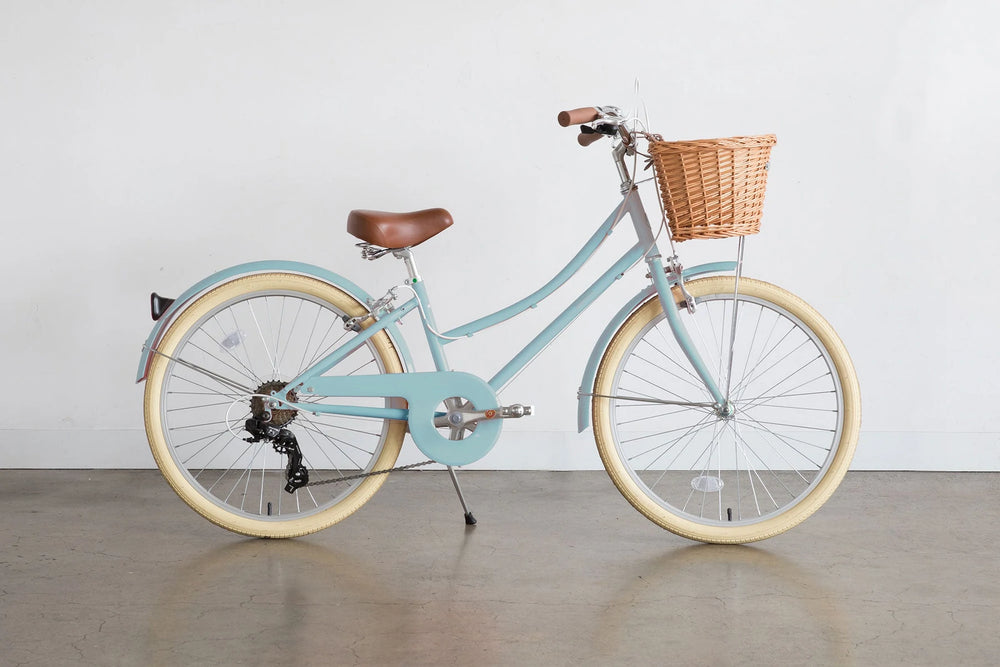 Bobbin gingersnap shop fiets 12 inch