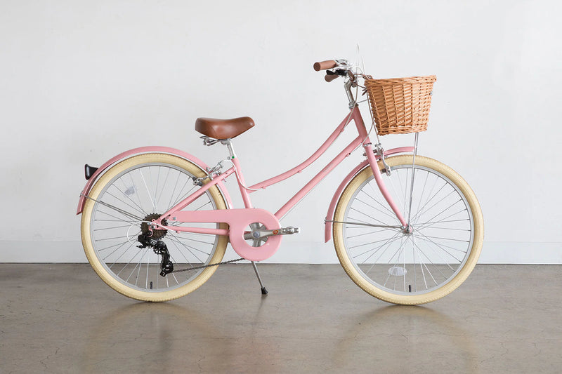 Bobbin bikes 20 inch hotsell